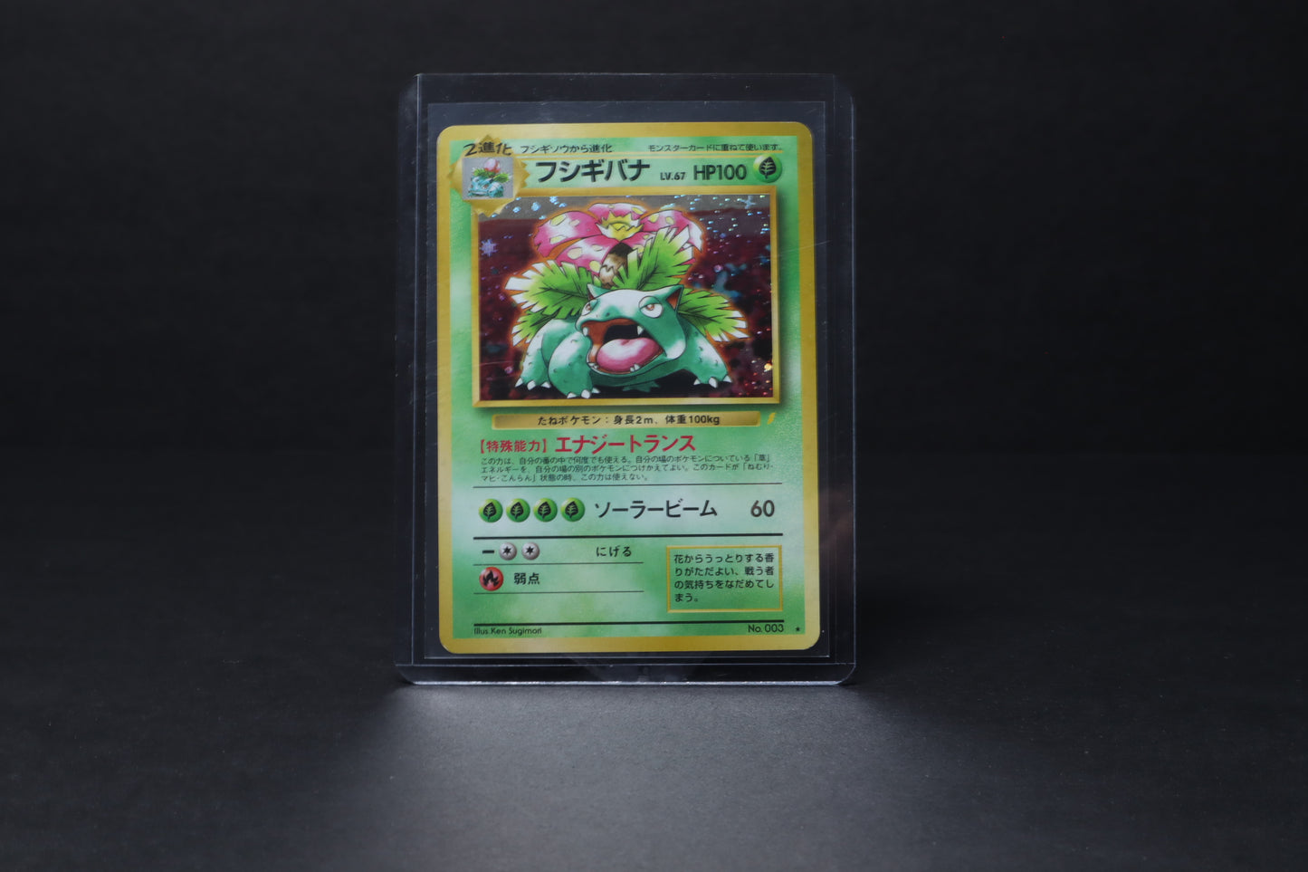 Pokemon Bisaflor Promo Karte - JP